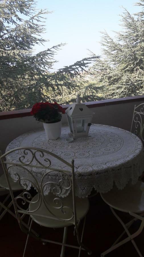 Appartement Dolci Ricordi à Livourne Extérieur photo